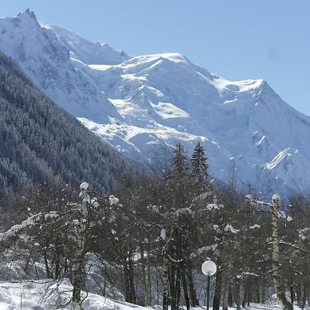 Argentiere - Apartment Ideal For Ski Or Summer Chamonix Exteriér fotografie