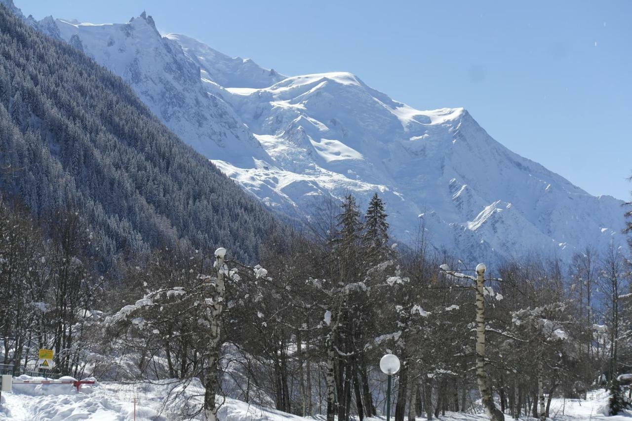 Argentiere - Apartment Ideal For Ski Or Summer Chamonix Exteriér fotografie